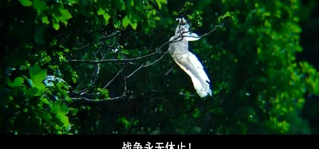 惊变28年怎么教孩子面对死亡_惊变28年什么时候上映_陆川军导演作品分析